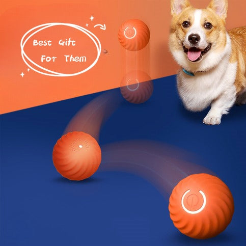 PawPulse™ Intelligenter Spielball