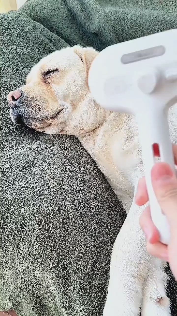 Load video: The steam is so gentle, most pets fall asleep mid-groom. See it for yourself